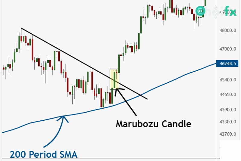 Có nhiều biến thể nến Marubozu trong các giai đoạn diễn biến thị trường