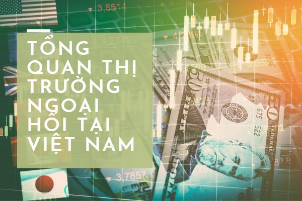 Thị trường Forex Việt Nam, nơi giao thương các loại tiền tệ quốc tế